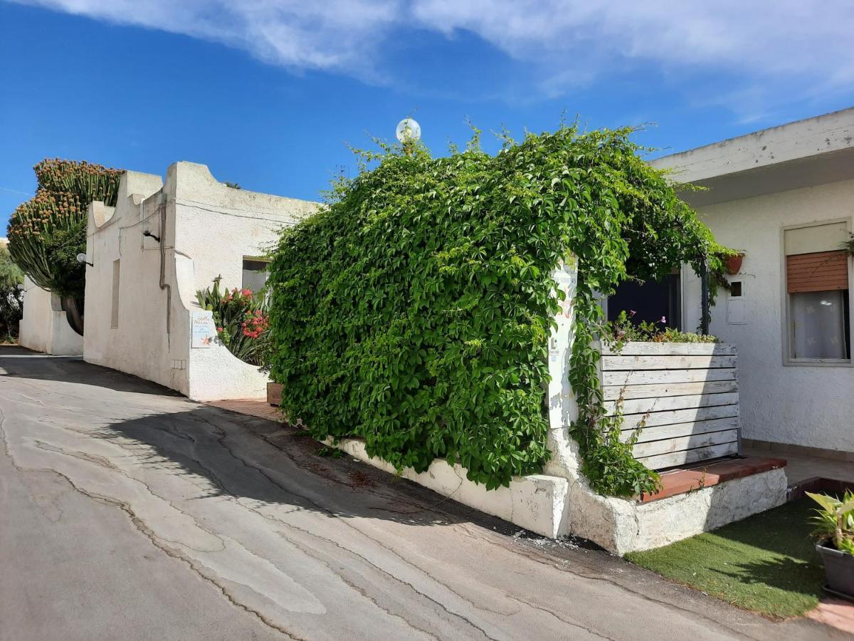 Hotel Noto Marina Stella Marina - B&B Lido di Noto Zewnętrze zdjęcie