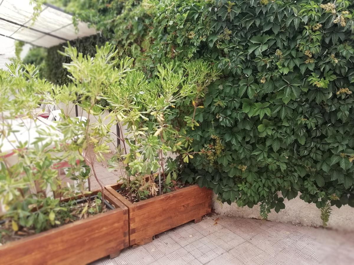 Hotel Noto Marina Stella Marina - B&B Lido di Noto Zewnętrze zdjęcie